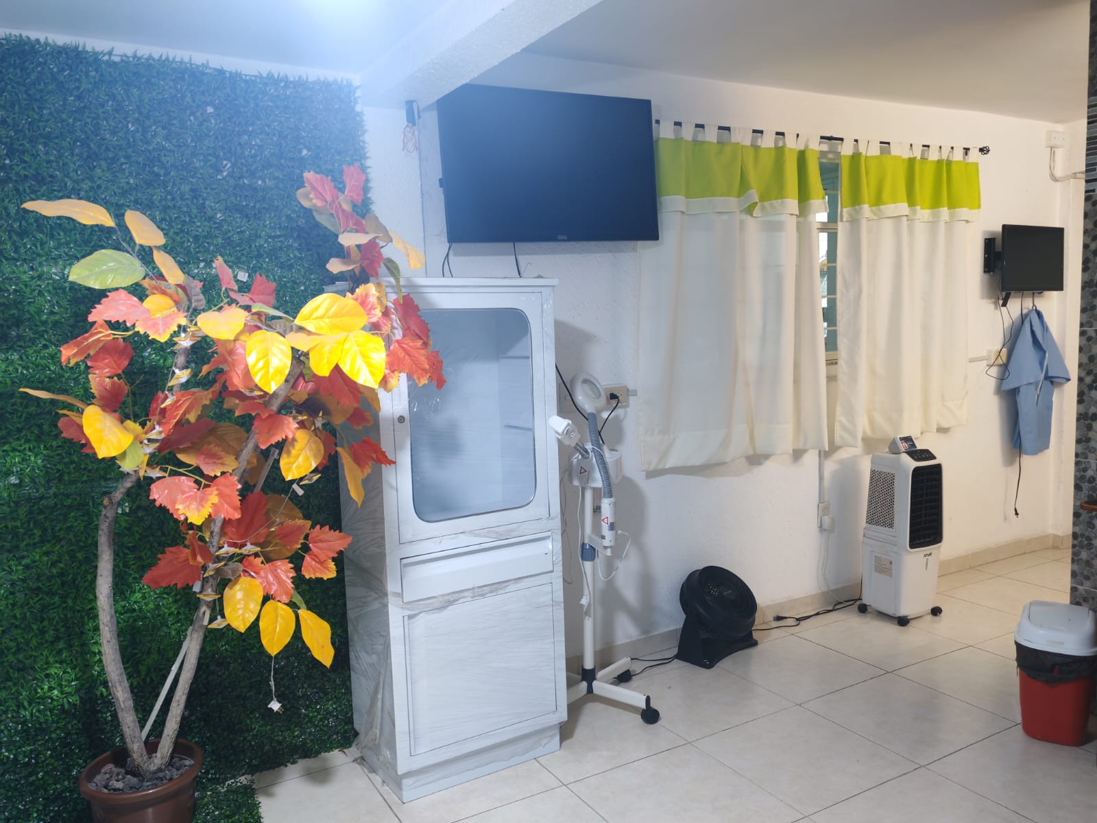 Recepción del consultorio de Calle Uvas con muro verde, árbol decorativo y vitrina clínica